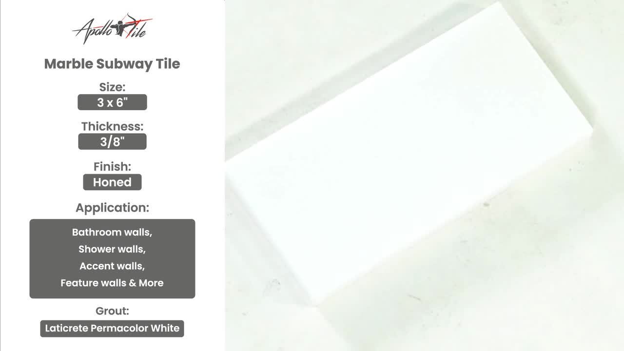Apollo Tile (Sample) White 3-in x 6-in Honed Marble Floor and Wall Tile
