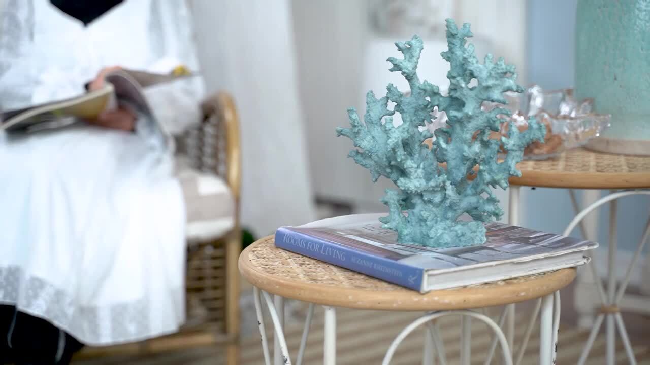 Natural Blue Coral Specimen Coastal Decor Beach Style Home Decor