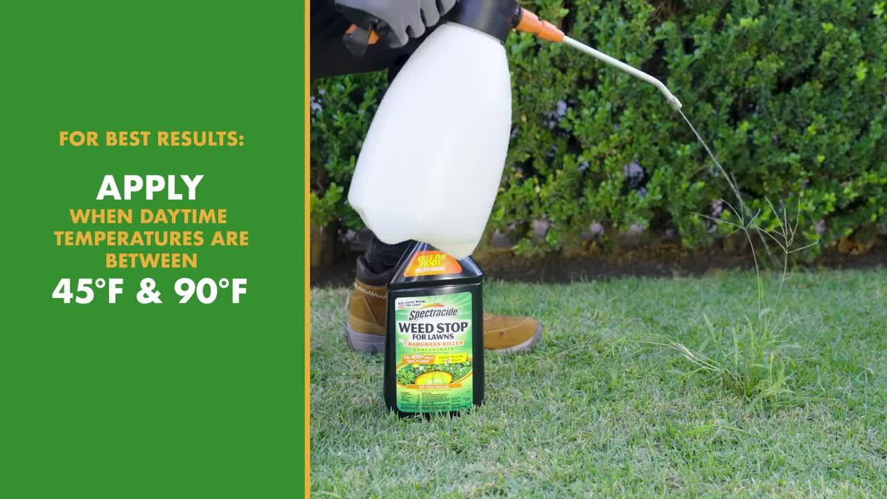 Spectracide Weed Stop Weed Killer RTS Hose-End Concentrate 32 oz