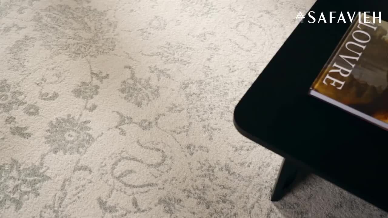 SAFAVIEH Adirondack Ivory/Sage 4 ft. x 6 ft. Border Area Rug