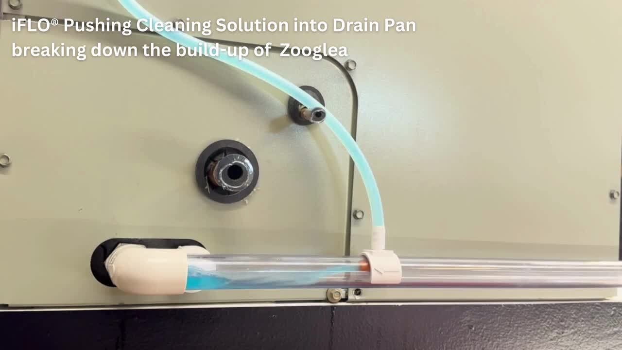 36 oz. Drain Line Cleaner