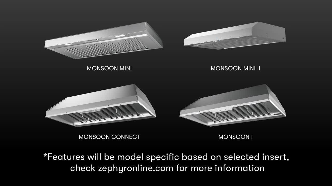 Zephyr Forte 48 in. Convertible Wall Mount Custom Range Hood in