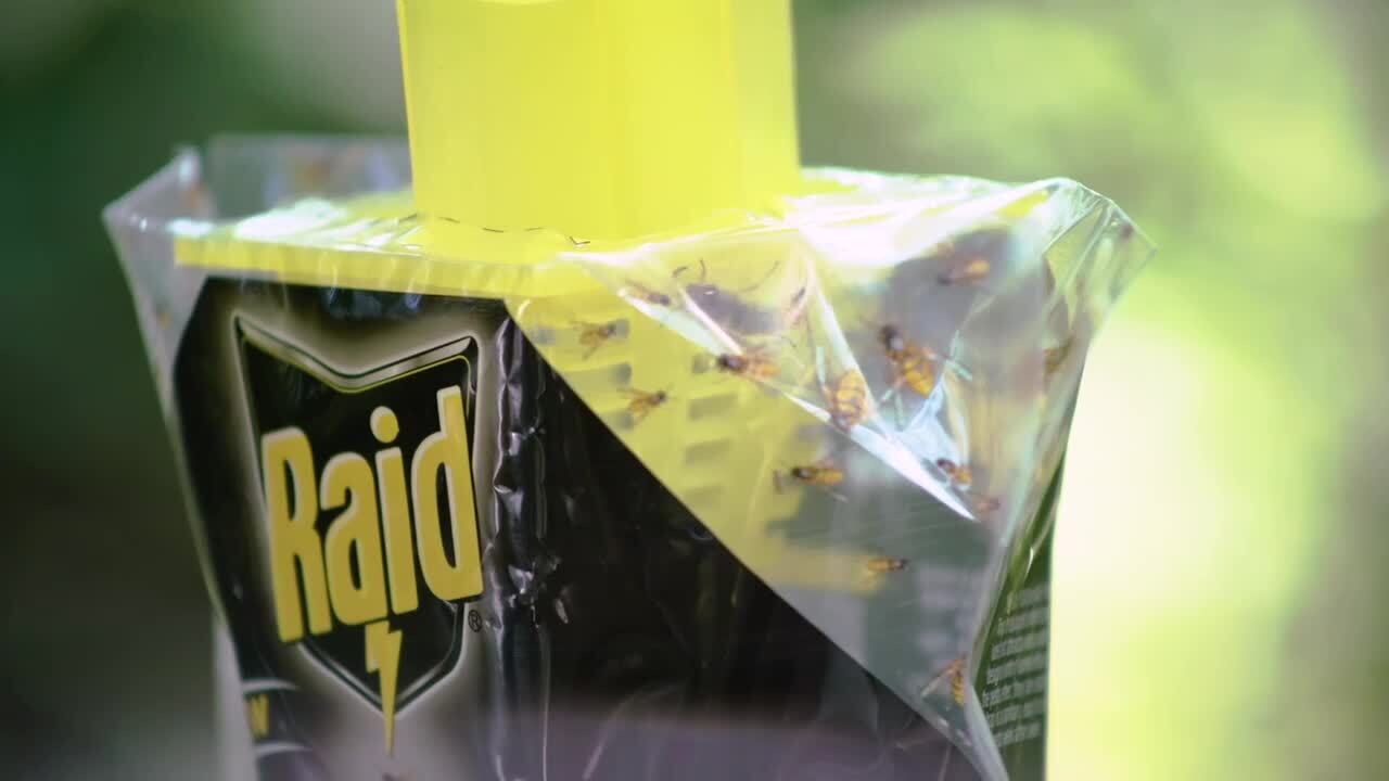Raid Disposable Yellow Jacket, Wasp and Hornet Trap​ WASPBAG-RAID - The  Home Depot