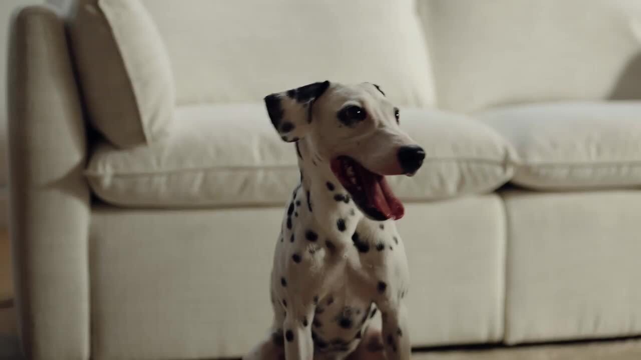 Spruce Spring Nereidix 34 Fabric Storage Ottoman Sectional