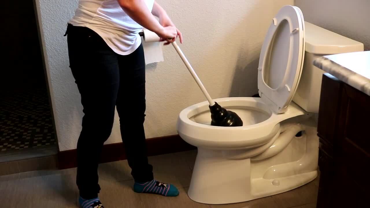 Beehive Max Toilet Plunger