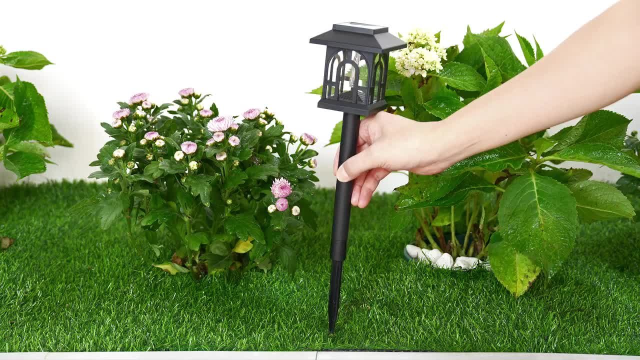 C Cattleya Black 100 Lumen LED Weather Resistant Outdoor Solar