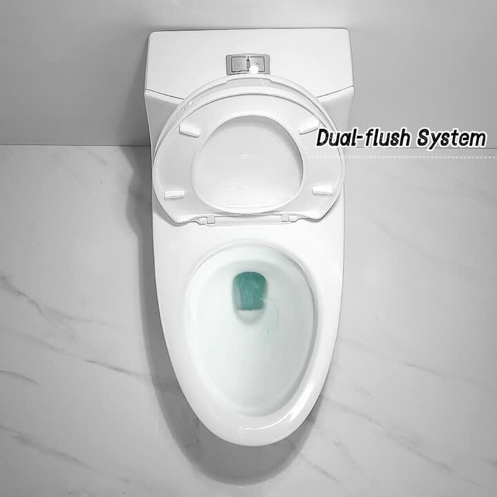 Round Bowl One-Piece Dual Flush 1.28 GPF/0.88 GPF High Efficiency Skirted All-in-One Toilet in White Seat Included Round Bowl One-Piece Dual Flush 1.28 GPF/0.88 GPF High Efficiency Skirted All-in-One Toilet in White Seat Included