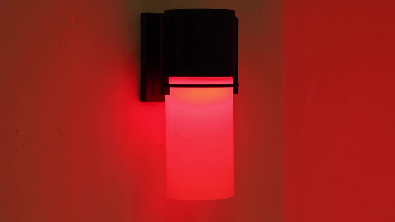 Black Integrated LED Outdoor Line Voltage Wall Sconce