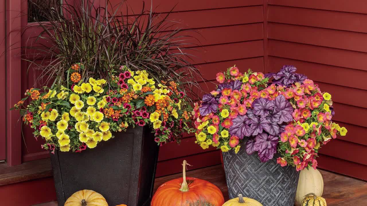 PROVEN WINNERS AquaPots Lite Round Self-Watering Plastic Insert