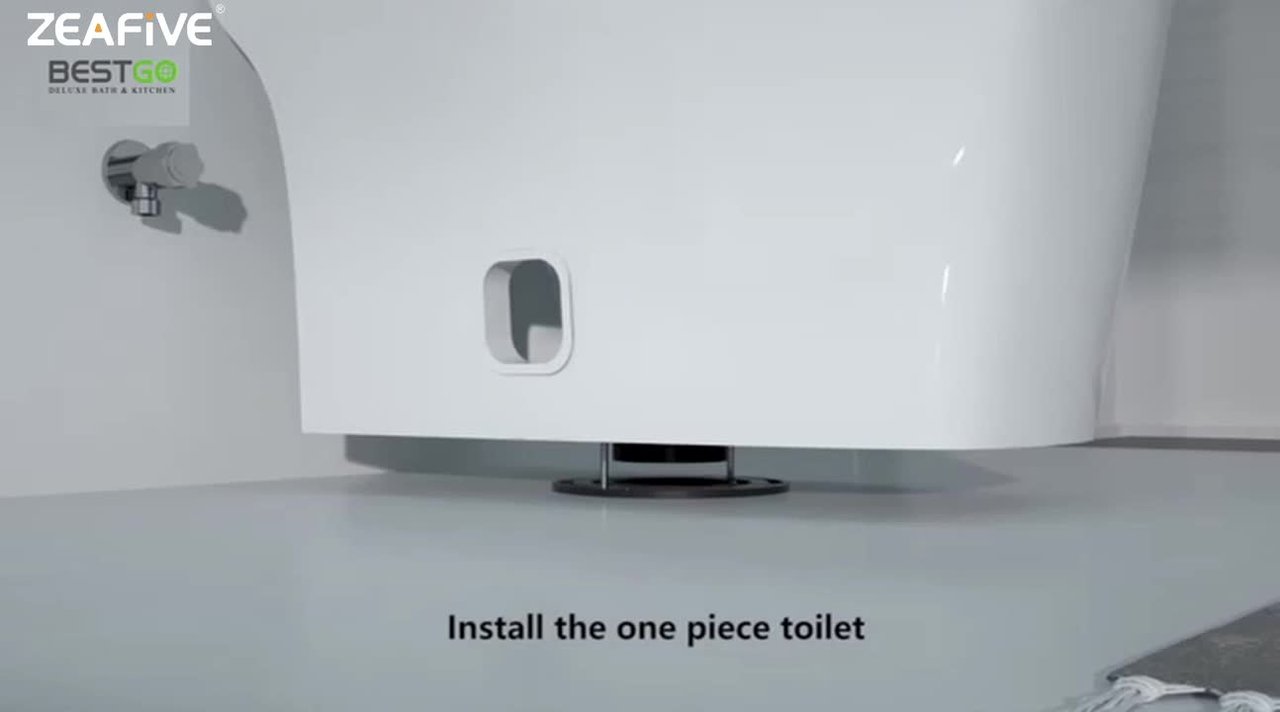 Zeafive Top 1-Piece Toilet 1.1/1.6 GPF Dual Flush Compact
