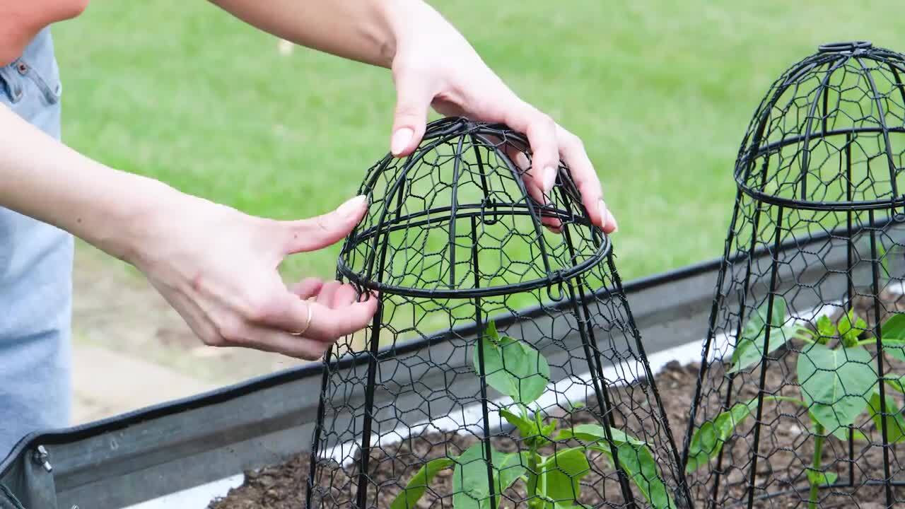 Sunnydaze Iron Mesh Cloche Plant Protector with Removable Cover-6-Pack HB-0526