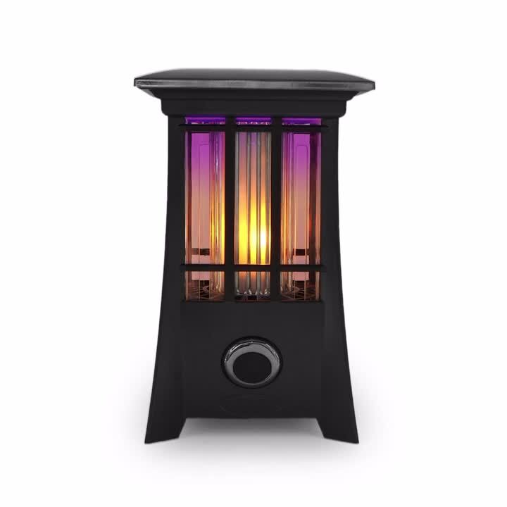  Collapsible 2 LED Color - Flame Lantern : Tools & Home  Improvement