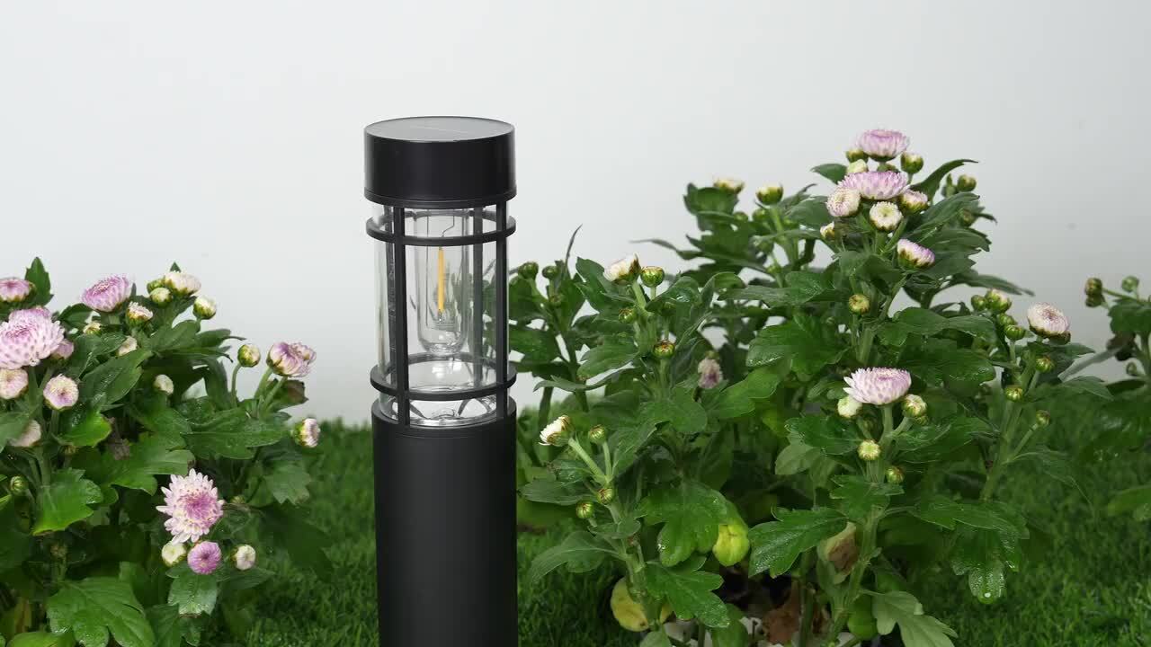 C Cattleya Black Solar LED Weather Resistant Outdoor Path Lights