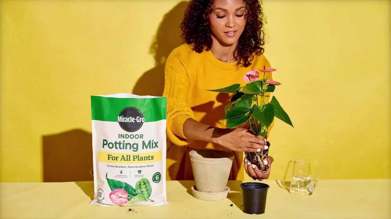 Indoor Potting Mix - Thumbnail 2