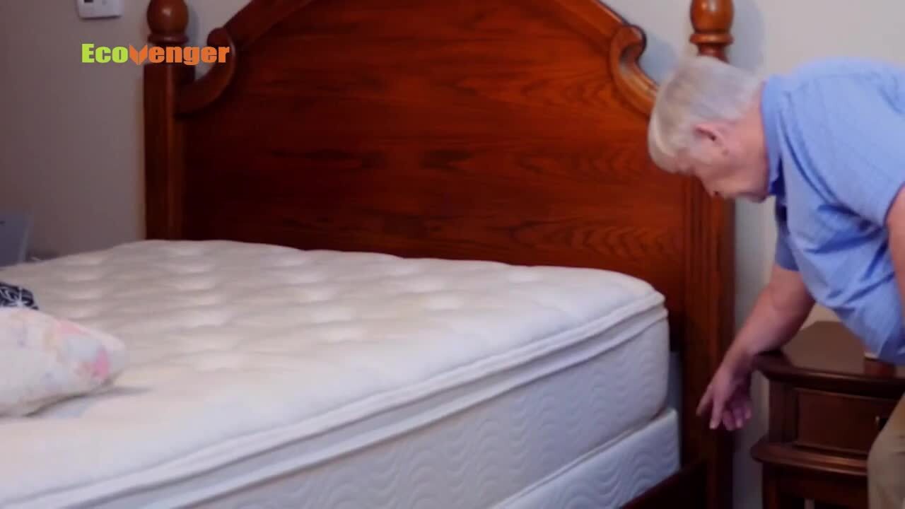 Bed Bug Killer by EcoRaider 16oz.-100% Efficacy Kills All Stages/Eggs for 2 Weeks, Plant-Based, Child/Pet-Safe