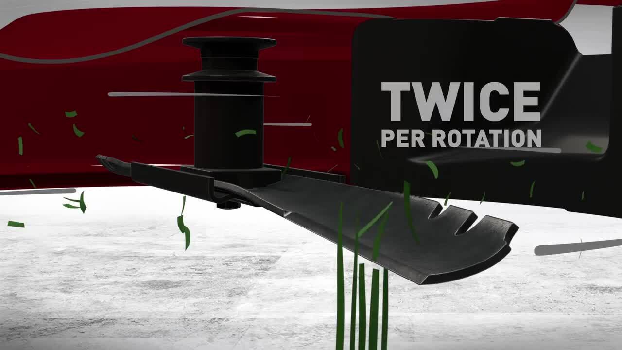 22 3-in-1 Gas Powered RWD Self Propelled Lawn Mower - Civitas Turf Defense  ™ Rewards