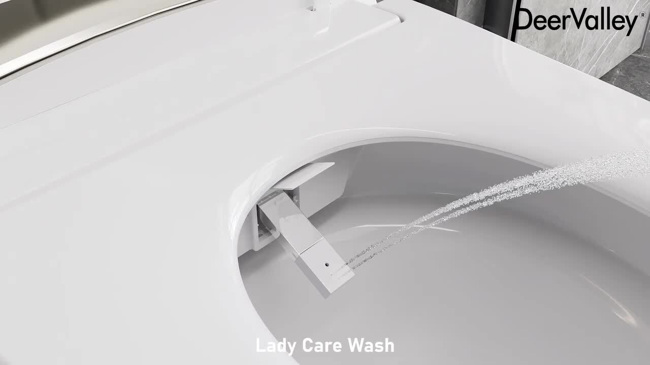 DEERVALLEY Elongated Smart Toilet Bidet with Auto Flush, Warm Water & Air Dryer