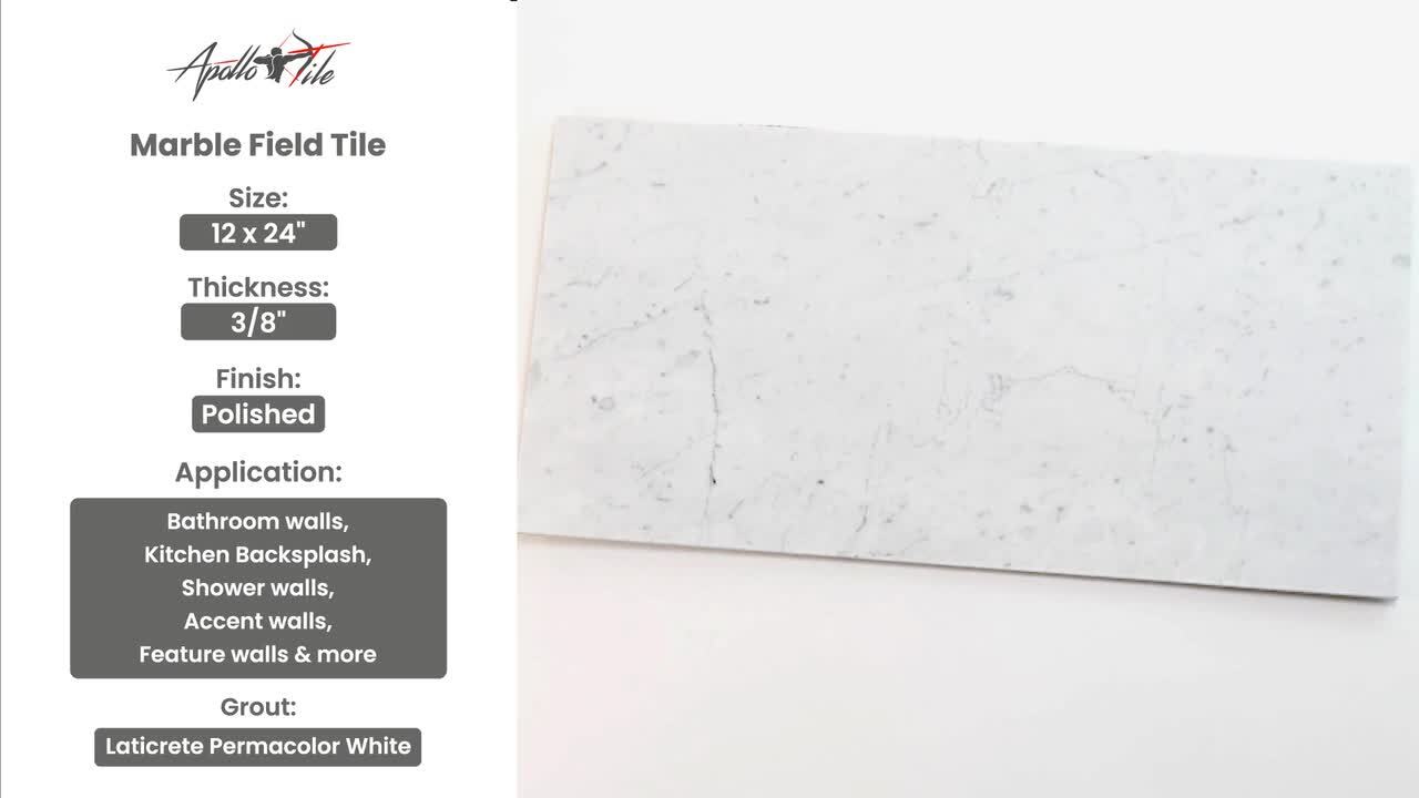 Apollo Tile Gray 12 in. x 24 in. Polished Marble Subway Wall