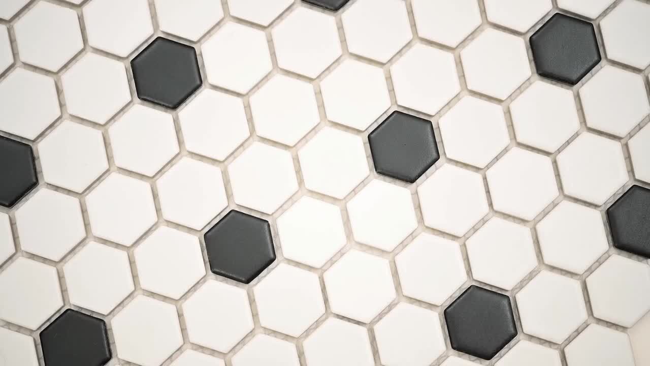 Adelaide Hexagon Black and White Dot 10.16 in. x 11.71 in. Matte Porcelain Floor and Wall Tile (12.45 sq. ft./Case)