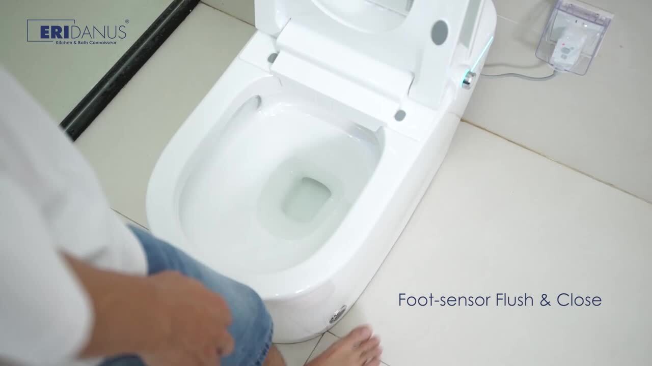 Eridanus 1-Piece Elongated Smart Bidet Toilet with Remote Control