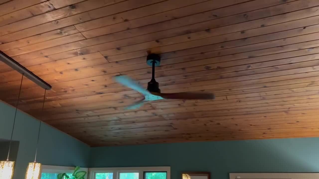 Sofucor 52 in. Indoor/Outdoor Black Ceiling Fan with Remote