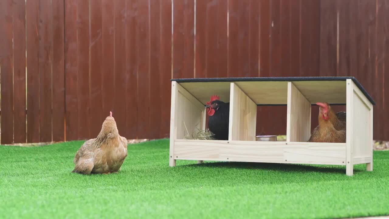 COZIWOW Wood Chicken Nesting Box 3-Compartments for Laying Eggs