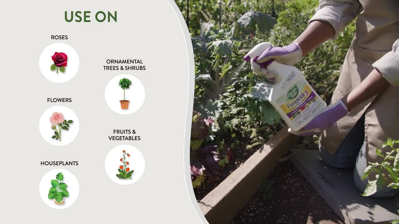 Garden Safe 32 oz. Fungicide Ready-to-Use Spray with Neem Oil Extract  HG-93215 - The Home Depot