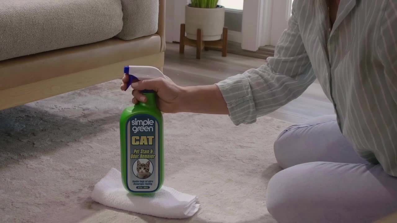 Best cat stain and hotsell odor remover