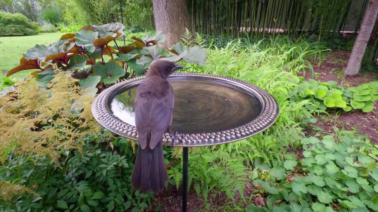 Good Directions 18 in. Beaded Copper Birdbath with Garden Pole