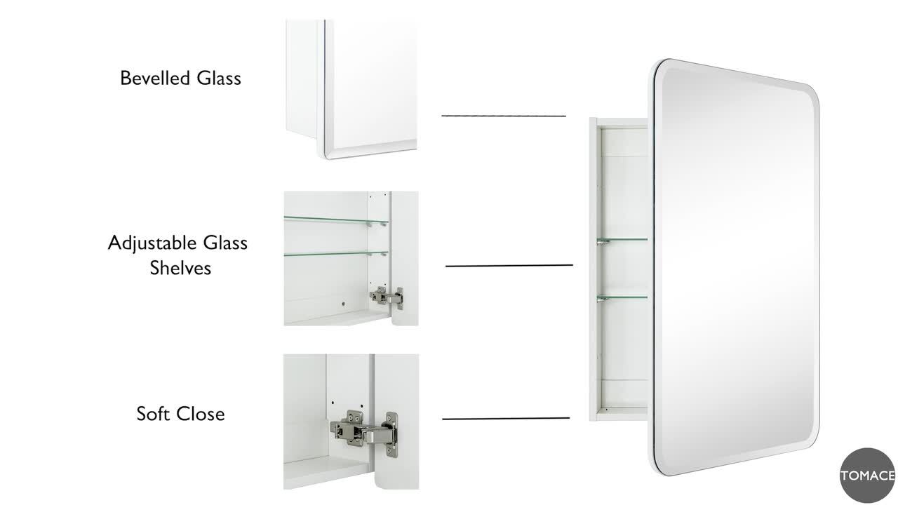 TEHOME Tomace 24 in. W x 30 in. H Rectangular Recess and Surface Mount Frameless Medicine Cabinet with Mirror