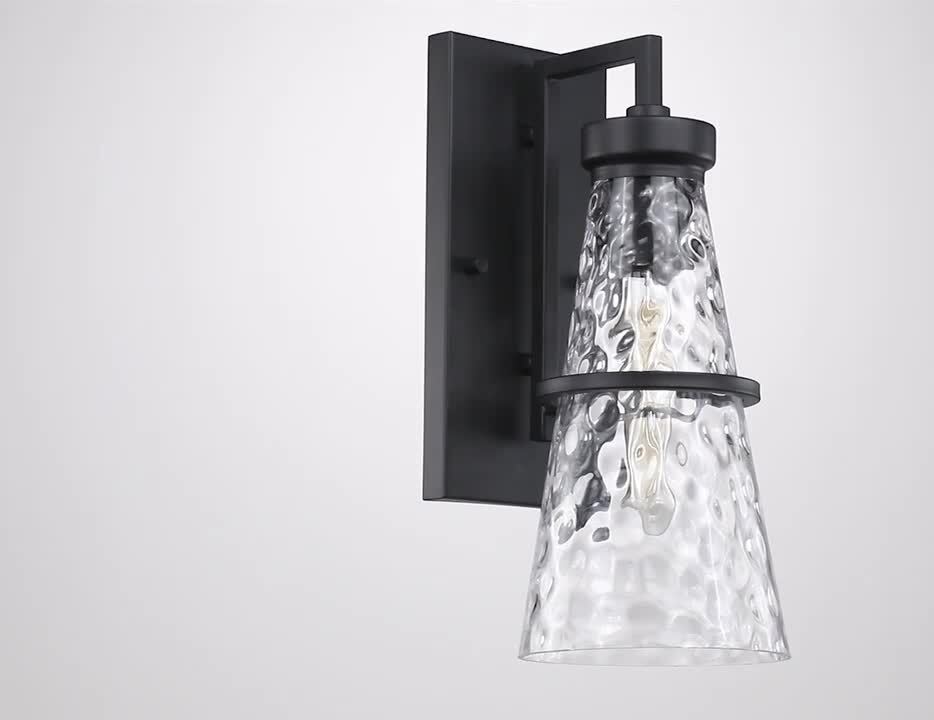 Designers Fountain - Field Daisy Lane Black 1-Light Outdoor Line Voltage Hardwired Porch Light Wall Sconce with No Bulbs Included