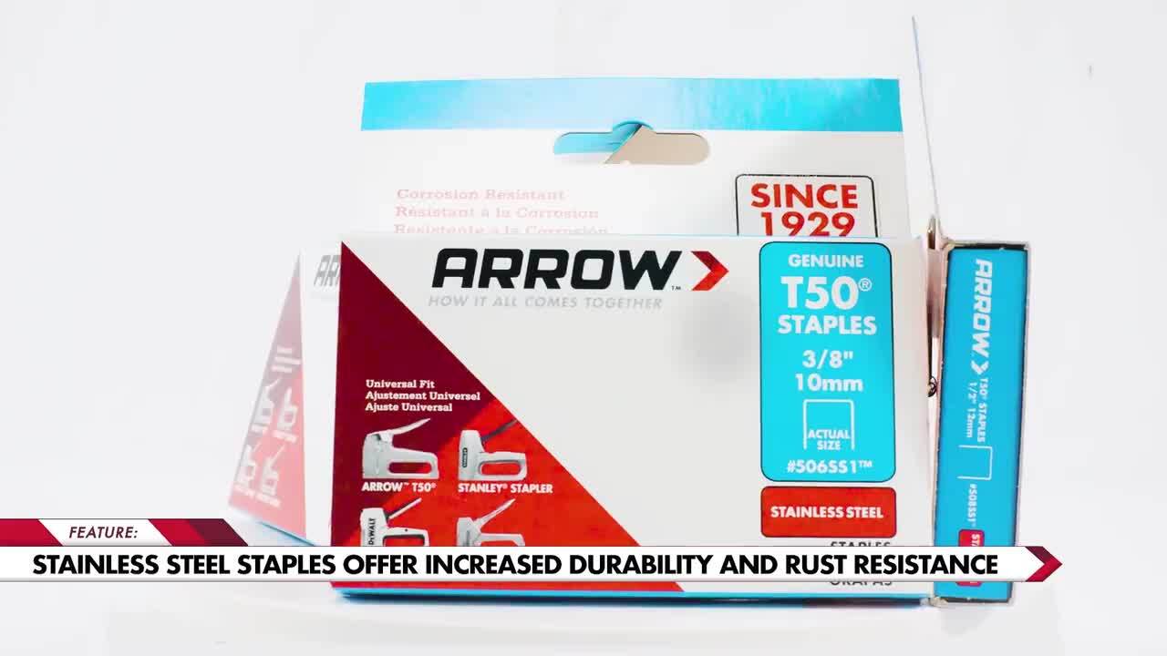 Ace 0.25 in. W X 1-1/2 in. L Galvanized Steel Fence Staples 5 lb Ace 0.25 in. W X 1-1/2 in. L Galvanized Steel Fence Staples 5 lb