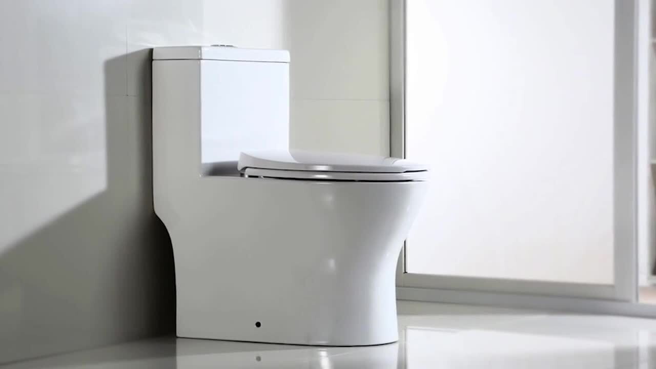 Conserver 1-Piece 1.28 GPF High Efficiency Dual Flush Elongated All-in-One Toilet in White with Seat Included Conserver 1-Piece 1.28 GPF High Efficiency Dual Flush Elongated All-in-One Toilet in White with Seat Included