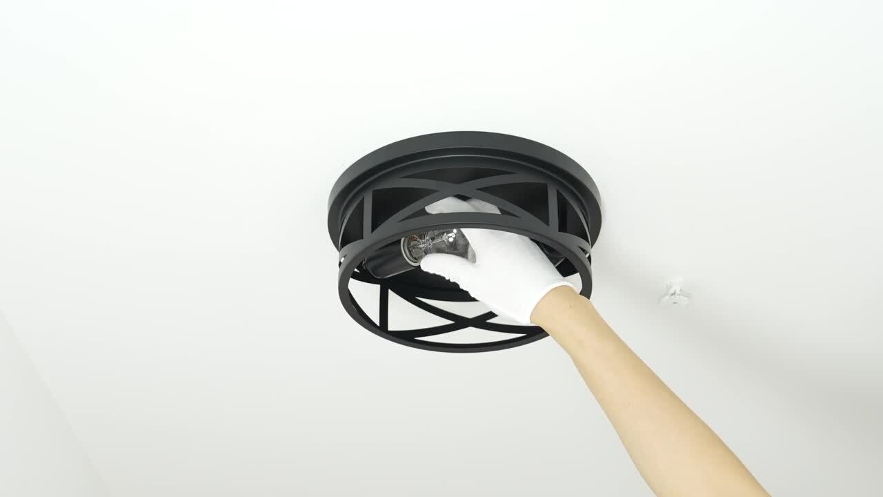 C Cattleya 11 in. 2-Light Industrial Black Round Cage Flush Mount