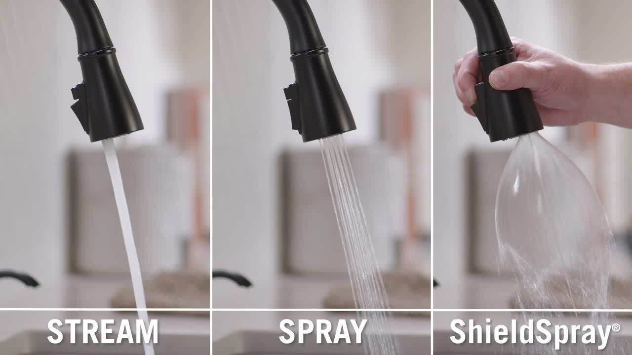 Delta Hazelwood Single-Handle Pull Down Sprayer Kitchen