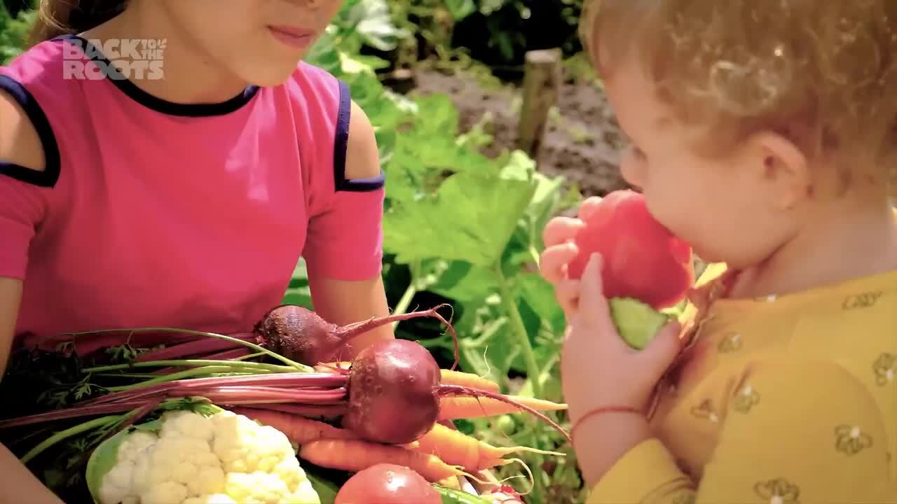 Back to the Roots Organic Bulk Potting Mix Soil (30 1 cu. ft. Bags) Peat-Free, Blended with Organic Fertilizer 47040-DS