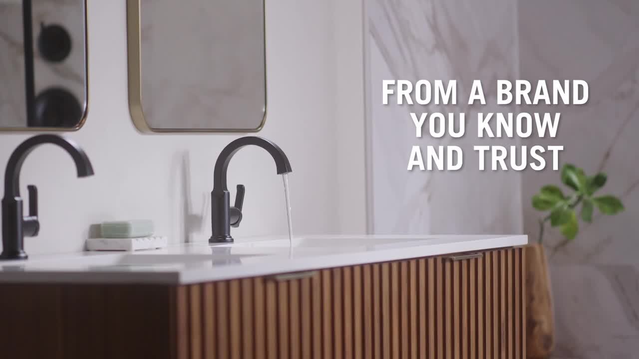 Tetra Single-Handle Single Hole Bathroom Faucet Drain Kit Included in Matte  Black