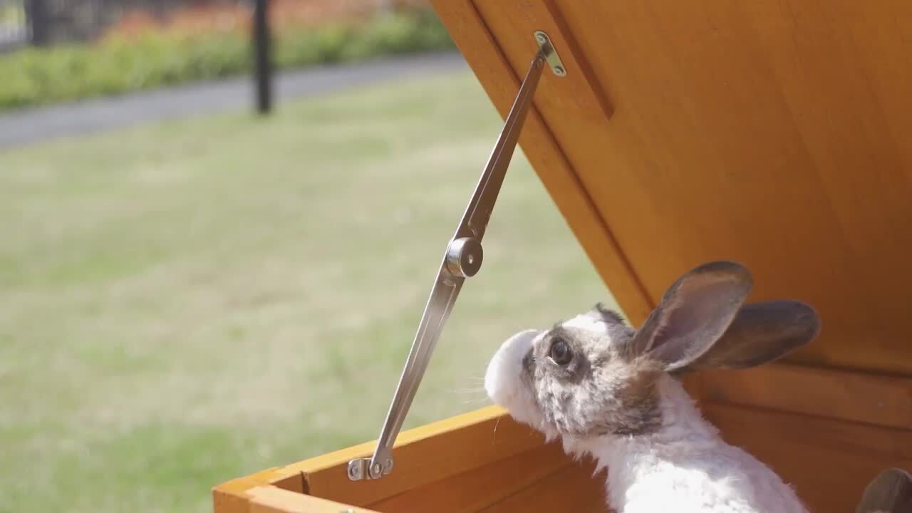 Cosy pet rabbit hutch hotsell