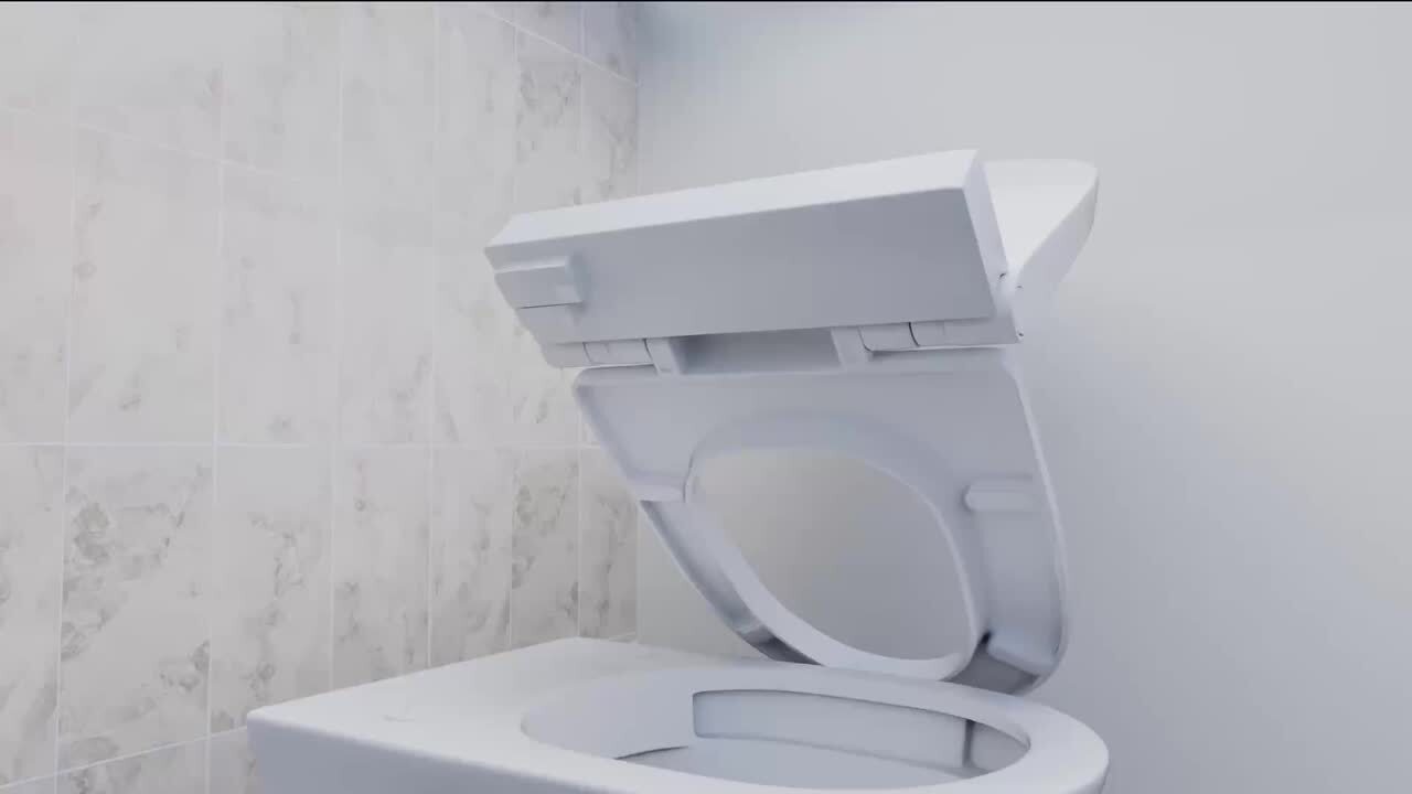Streamline LT-389 Tankless Elongated Smart Bidet Toilet with Auto Flush