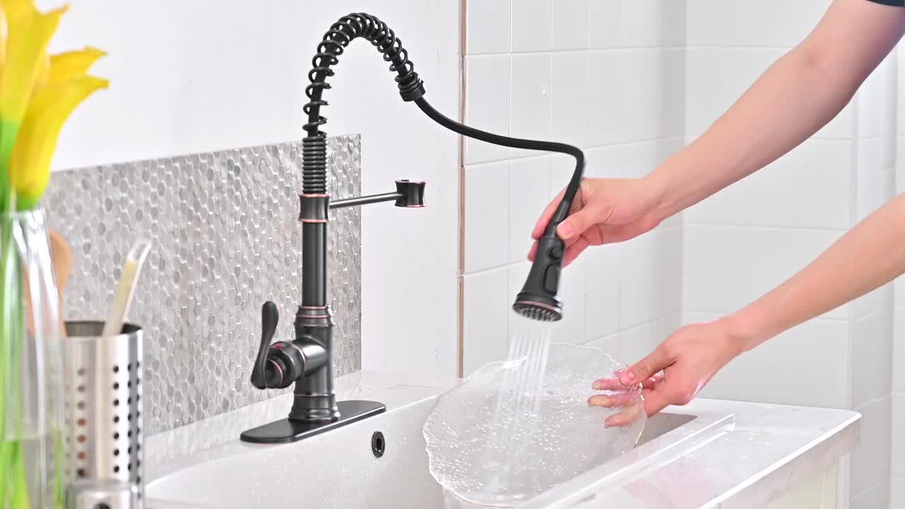 BWE Single-Handle Pull-Down Sprayer 3 Spray High Arc Kitchen