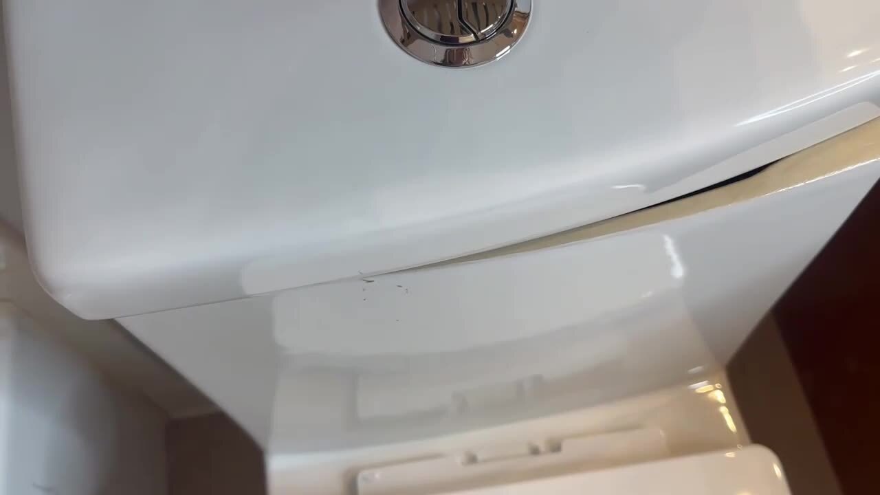 DEERVALLEY Liberty 10 in. Rough In 1-Piece 1.1/1.6 GPF Dual Flush