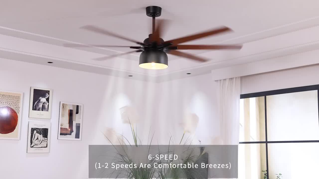 CACI Mall 66 in. Indoor/Outdoor Black Ceiling Fan with Light Bulb