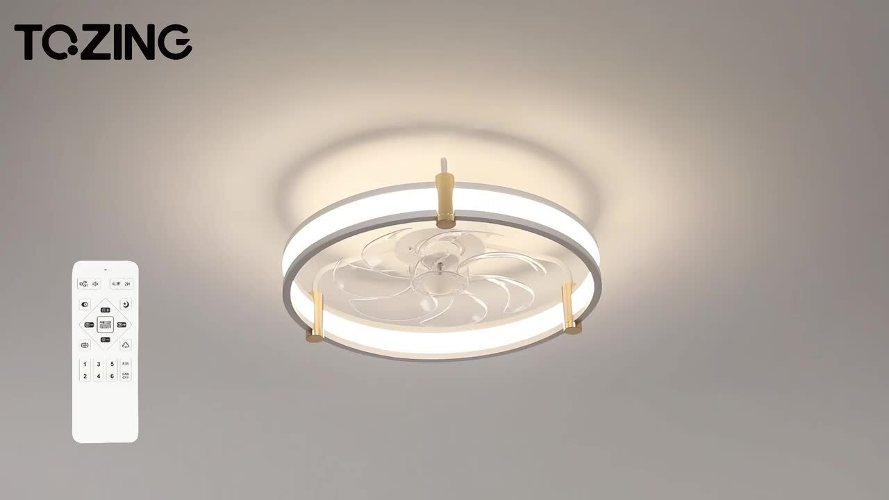 家具 ceiling light with remote HENTAG Smart Ceiling Light with Remote Control - 12Inch 30W Flush