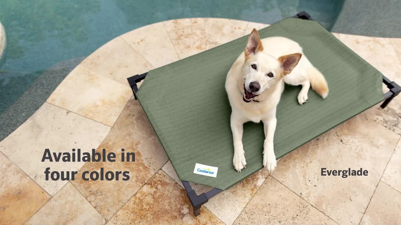 Coolaroo Lサイズ ベッド 大型犬用　新品替えカバー付　クーラールー Coolaroo Lサイズ ベッド 大型犬用 新品替えカバー付 クーラー