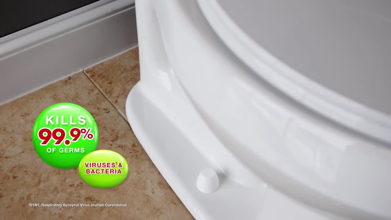 32 oz. Mold and Mildew Killer and Quick Stain Remover