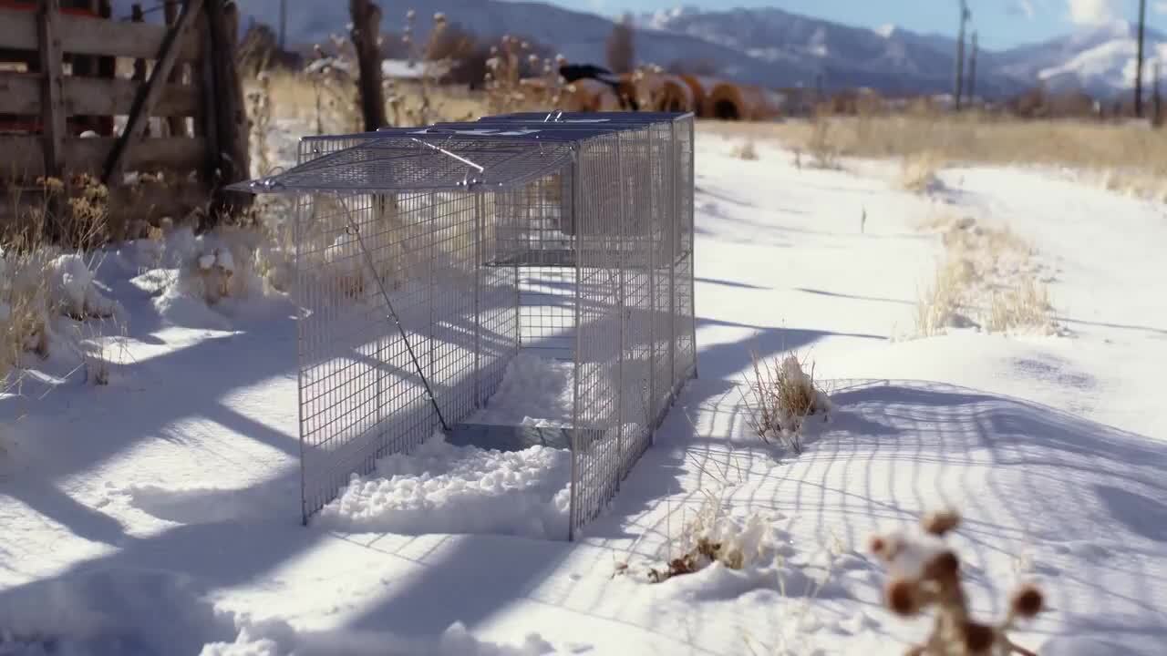 LifeSupplyUSA Heavy-Duty Outdoor Animal Cage Trap Catch