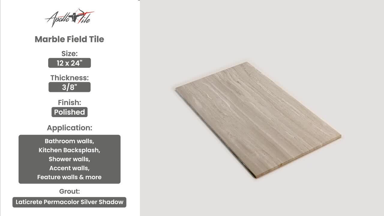 Emser WINTER FROST 10-Pack Winter Frost 12-in x 12-in Polished Natural Stone Marble Stone Look Tile
