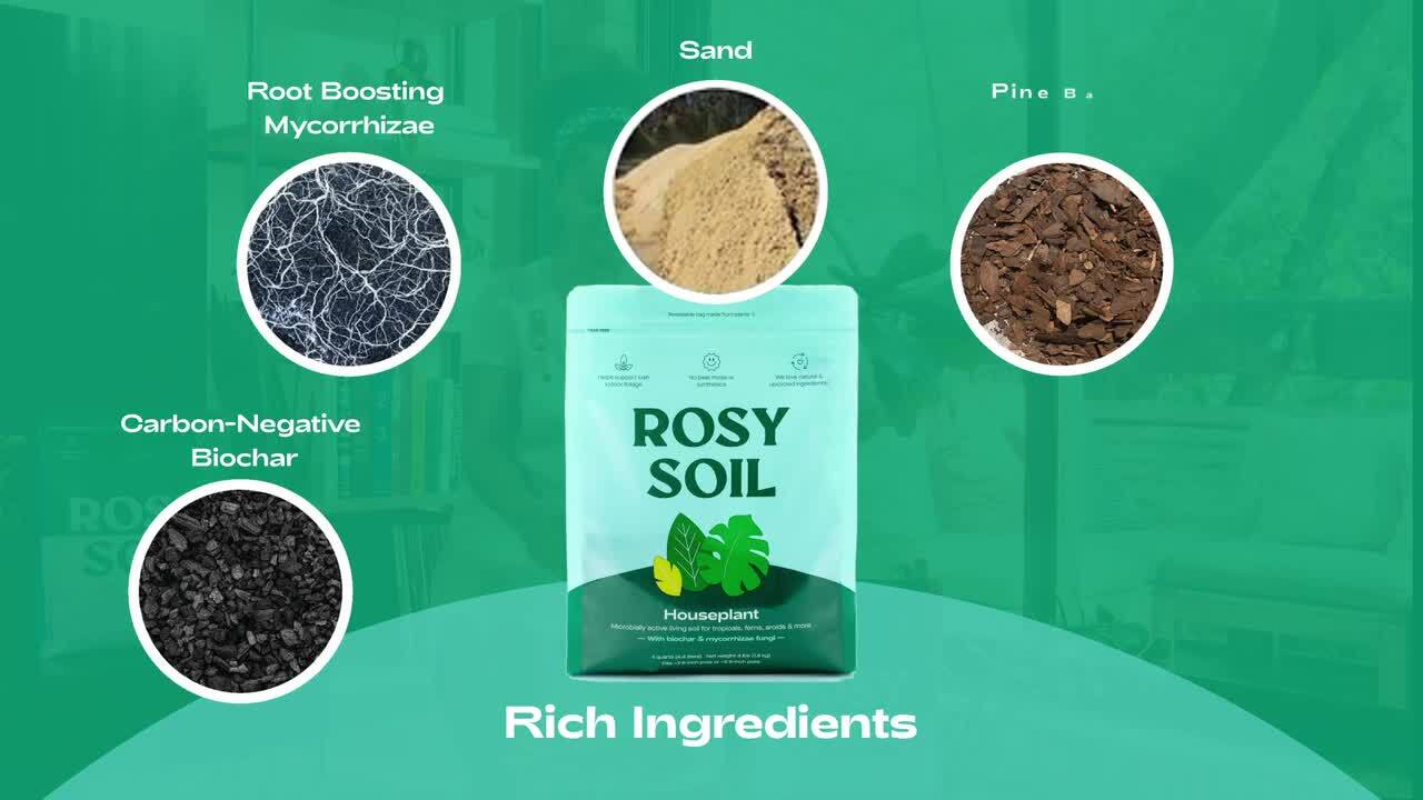 ROSY SOIL Organic 4 qt. Living Soil Houseplant Potting Mix for