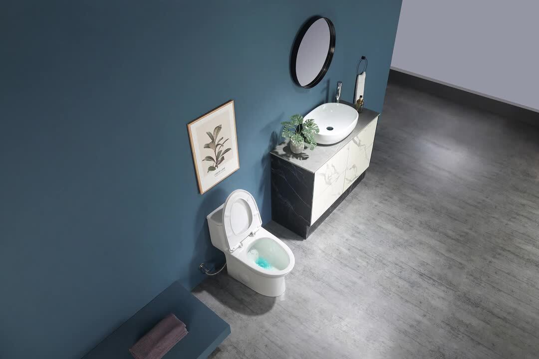 1-Piece 1.1 GPF /1.6 GPF Dual Flush High Efficiency Elongated Toilet in White Seat Included