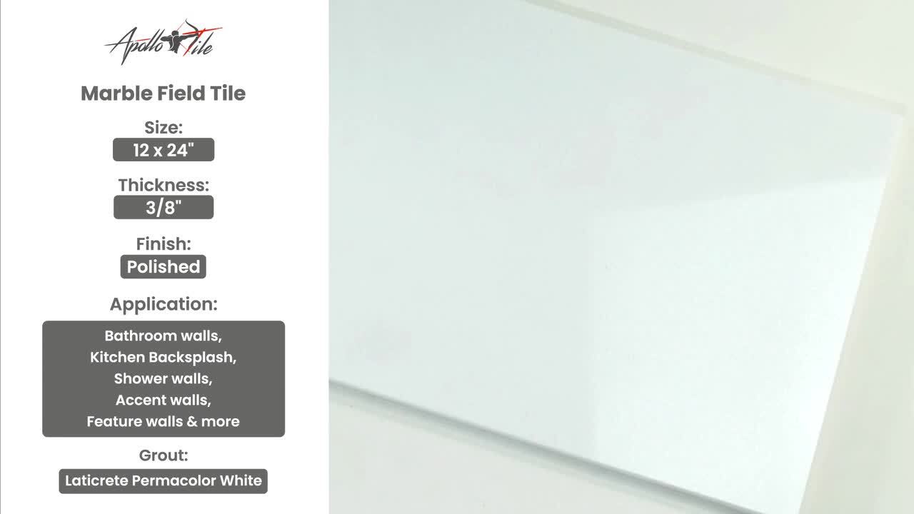 Emser THASSOS WHITE 6-Pack Thassos White 12-in x 24-in Polished Natural Stone Marble Stone Look Floor and Wall Tile